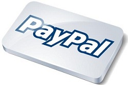 Pay with Paypal Cartell Car Check